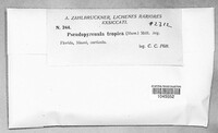 Image Associated With the Occurence